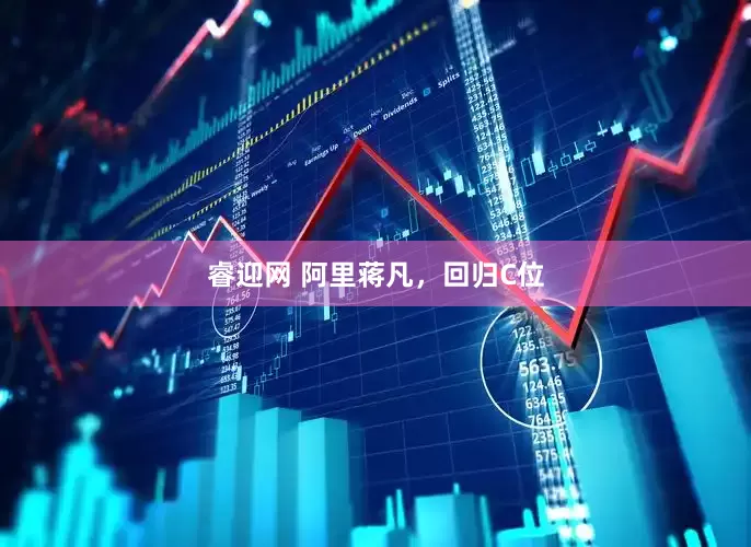 睿迎网 阿里蒋凡，回归C位