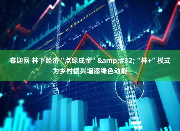 睿迎网 林下经济“点绿成金”&#32;“林+”模式为乡村振兴增添绿色动能