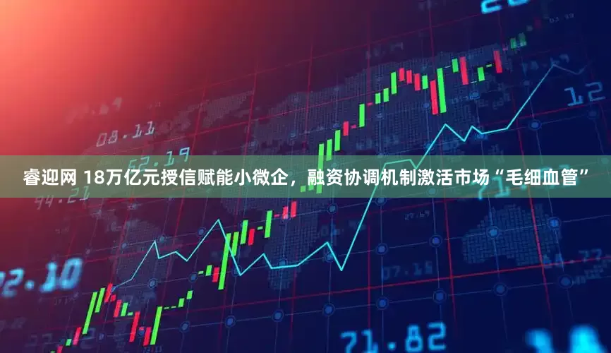 睿迎网 18万亿元授信赋能小微企，融资协调机制激活市场“毛细血管”