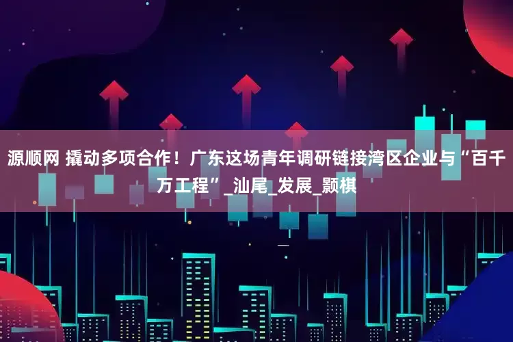 源顺网 撬动多项合作！广东这场青年调研链接湾区企业与“百千万工程”_汕尾_发展_颢棋