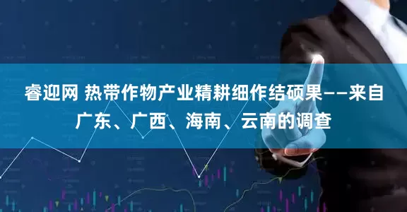 睿迎网 热带作物产业精耕细作结硕果——来自广东、广西、海南、云南的调查