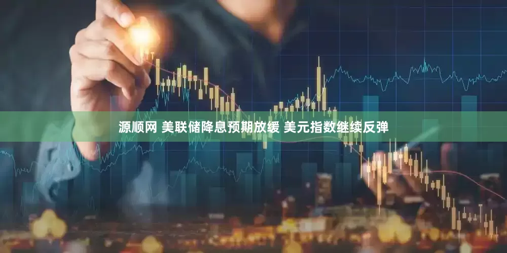源顺网 美联储降息预期放缓 美元指数继续反弹