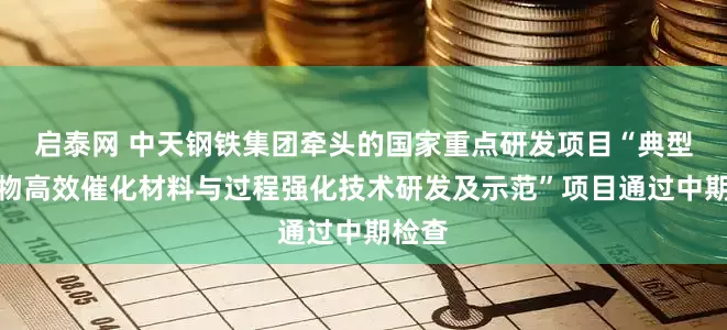 启泰网 中天钢铁集团牵头的国家重点研发项目“典型污染物高效催化材料与过程强化技术研发及示范”项目通过中期检查