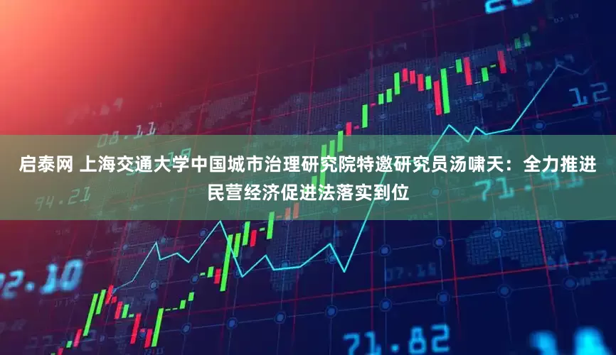 启泰网 上海交通大学中国城市治理研究院特邀研究员汤啸天：全力推进民营经济促进法落实到位