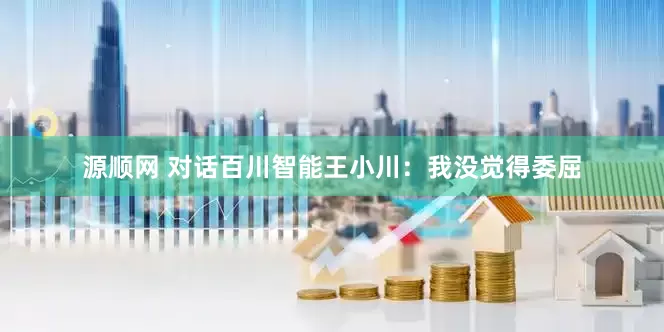 源顺网 对话百川智能王小川：我没觉得委屈